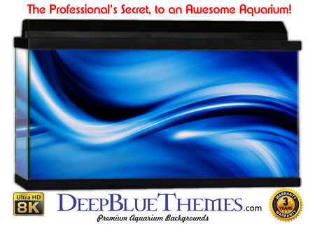 Buy Aquarium Background Blue Worm Aquarium Background