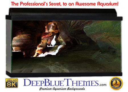 Buy Aquarium Background Cave Colors Aquarium Background