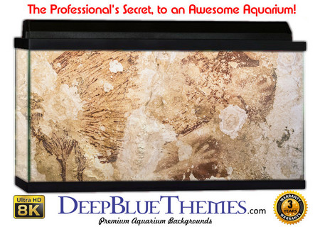 Buy Aquarium Background Cave Paint Aquarium Background