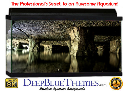 Buy Aquarium Background Cave Pilar Aquarium Background
