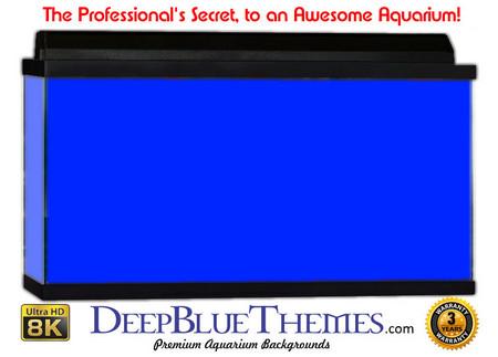 Buy Aquarium Background Colors Blue Aquarium Background