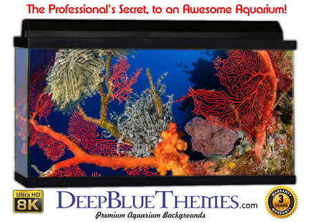 Buy Aquarium Background Coral Leafs Aquarium Background