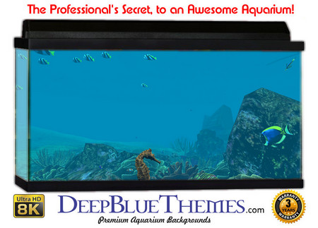 Buy Aquarium Background Coral Seahorse Aquarium Background