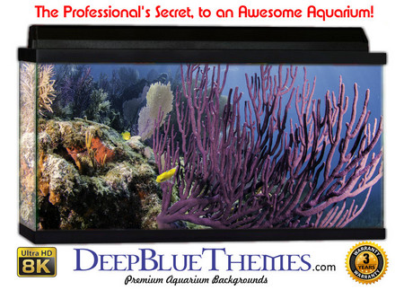 Buy Aquarium Background Coral Soft Aquarium Background