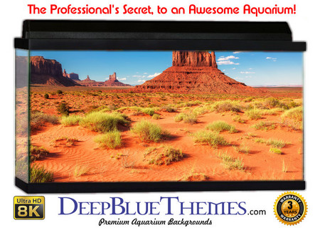 Buy Aquarium Background Desert Tuft Aquarium Background