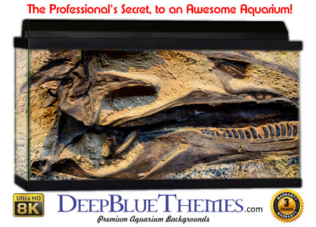 Buy Aquarium Background Dinosaur 0001 Aquarium Background