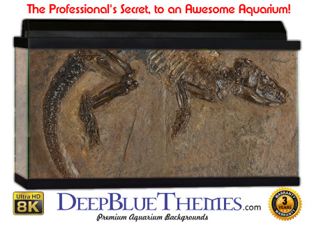 Buy Aquarium Background Dinosaur 0006 Aquarium Background