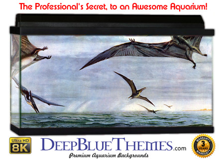 Buy Aquarium Background Dinosaur 0020 Aquarium Background