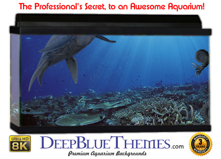 Buy Aquarium Background Dinosaur 0026 Aquarium Background