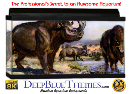 Buy Aquarium Background Dinosaur 0027 Aquarium Background