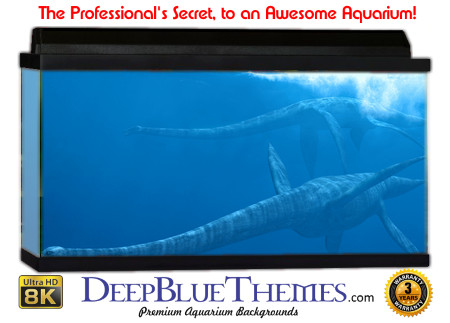 Buy Aquarium Background Dinosaur 0029 Aquarium Background