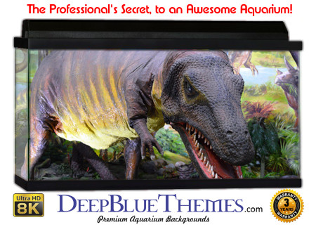 Buy Aquarium Background Dinosaur 0037 Aquarium Background