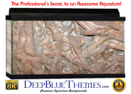 Buy Aquarium Background Dinosaur 0040 Aquarium Background