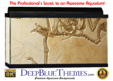 Buy Aquarium Background Dinosaur 0052 Aquarium Background