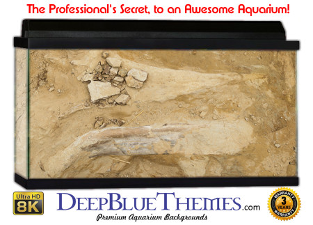 Buy Aquarium Background Dinosaur 0053 Aquarium Background