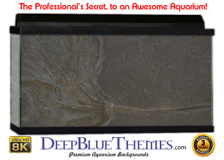 Buy Aquarium Background Dinosaur 0054 Aquarium Background