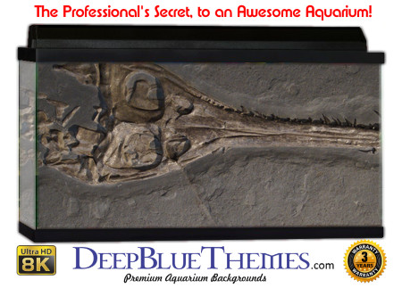 Buy Aquarium Background Dinosaur 0055 Aquarium Background