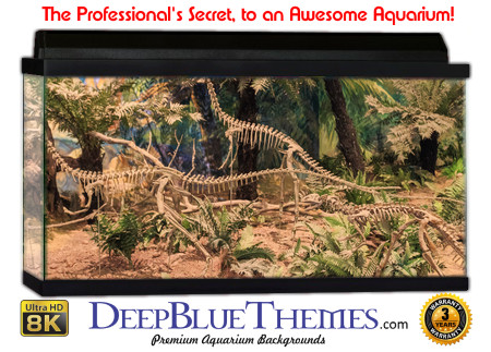 Buy Aquarium Background Dinosaur 0056 Aquarium Background