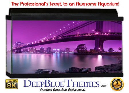 Buy Aquarium Background Bridge Purple Aquarium Background