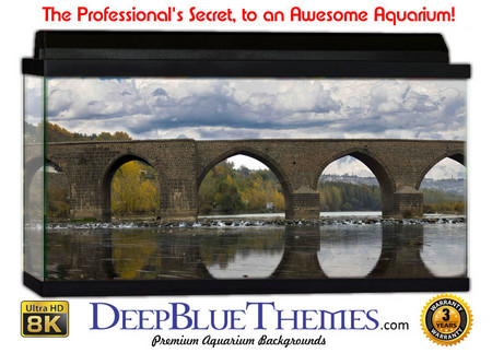 Buy Aquarium Background Bridge Stone Aquarium Background