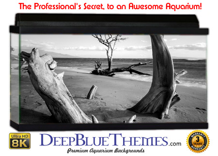 Buy Aquarium Background Driftwood 00011 Aquarium Background