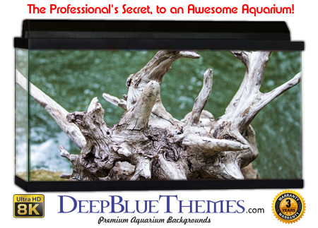 Buy Aquarium Background Driftwood 00032 Aquarium Background