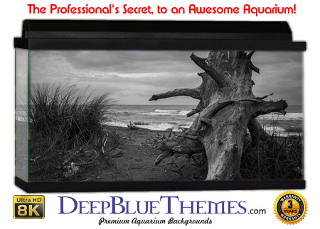 Buy Aquarium Background Driftwood 00045 Aquarium Background