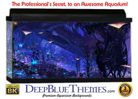 Buy Aquarium Background Fantasy Avatar Aquarium Background