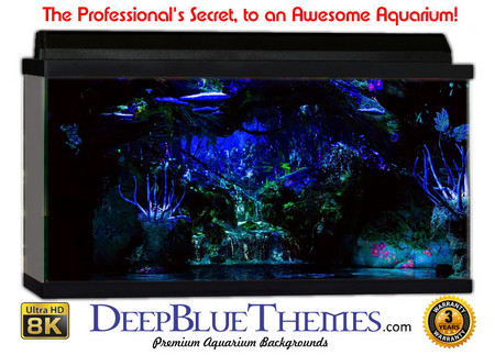 Buy Aquarium Background Fantasy Dark Aquarium Background
