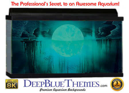 Buy Aquarium Background Fantasy Mystery Aquarium Background
