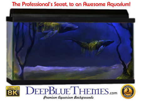 Buy Aquarium Background Fantasy Painting Aquarium Background