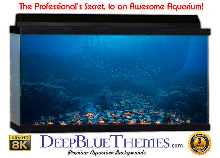 Buy Aquarium Background Fantasy Shiptown Aquarium Background