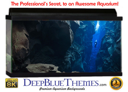 Buy Aquarium Background Favorite Cliff Aquarium Background