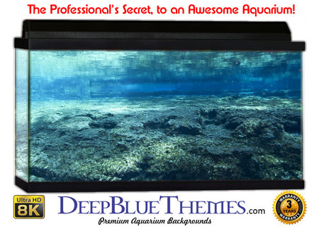 Buy Aquarium Background Favorite Rock Aquarium Background
