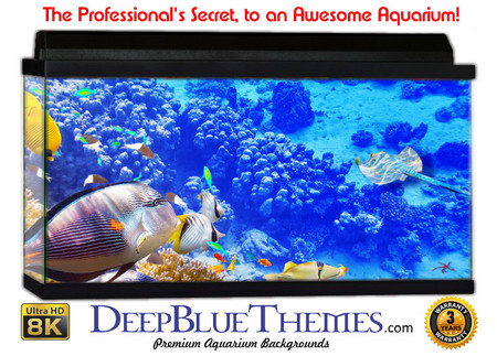 Buy Aquarium Background Fish Amazing Aquarium Background