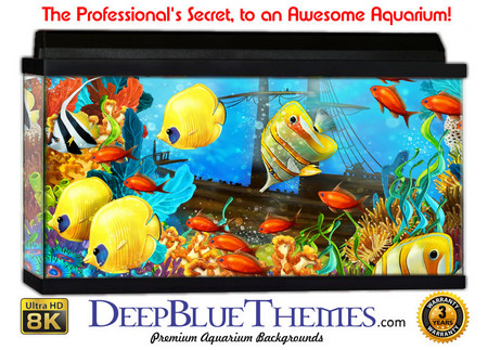 Buy Aquarium Background Fish Angel Aquarium Background