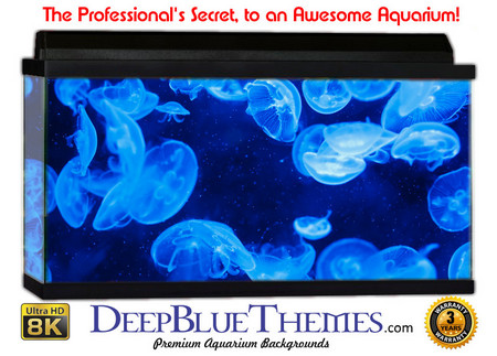 Buy Aquarium Background Fish Blue Aquarium Background
