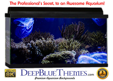 Buy Aquarium Background Fish Darkjell Aquarium Background