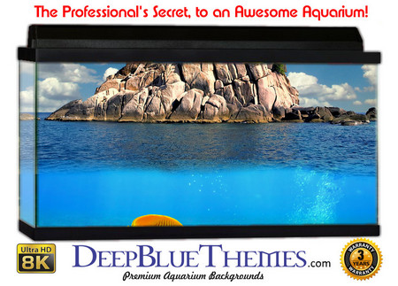 Buy Aquarium Background Fish Island Aquarium Background