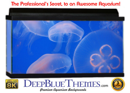 Buy Aquarium Background Fish Jelly Aquarium Background