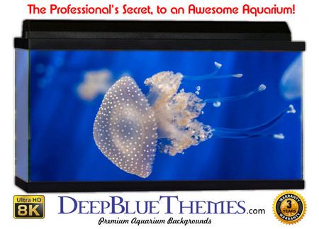 Buy Aquarium Background Fish Medusa Aquarium Background