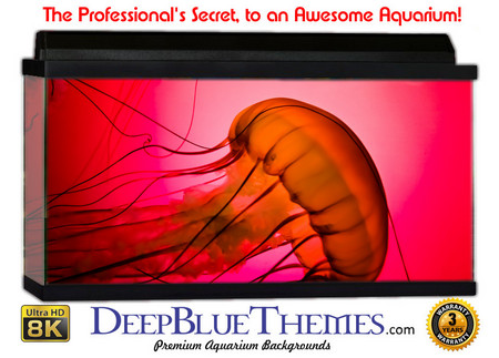 Buy Aquarium Background Fish Red Aquarium Background