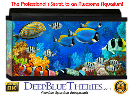 Buy Aquarium Background Fish Scene Aquarium Background