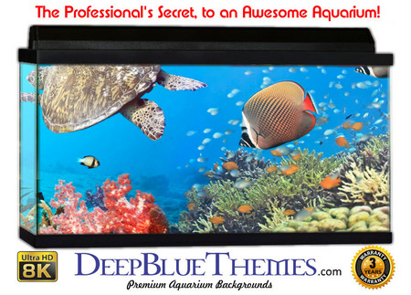 Buy Aquarium Background Fish Turtle Aquarium Background