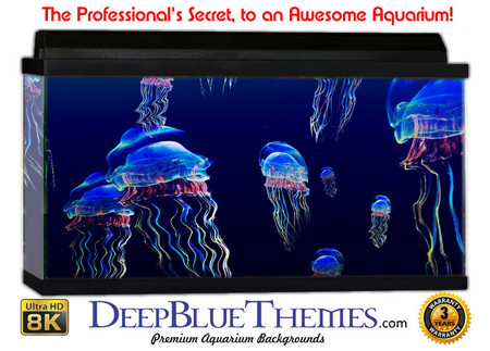 Buy Aquarium Background Fish Wall Aquarium Background