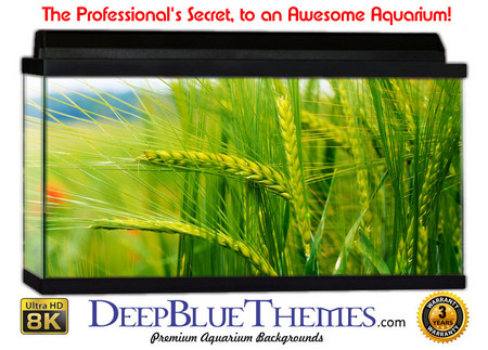 Buy Aquarium Background Flowers Corn Aquarium Background