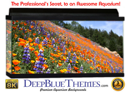 Buy Aquarium Background Flowers Slope Aquarium Background