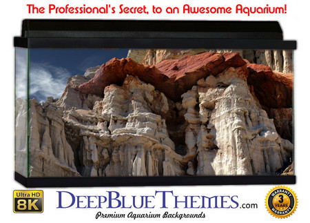 Buy Aquarium Background Formations Redrock Aquarium Background