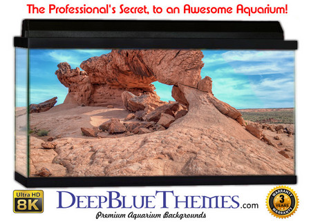 Buy Aquarium Background Formations Sunrise Aquarium Background