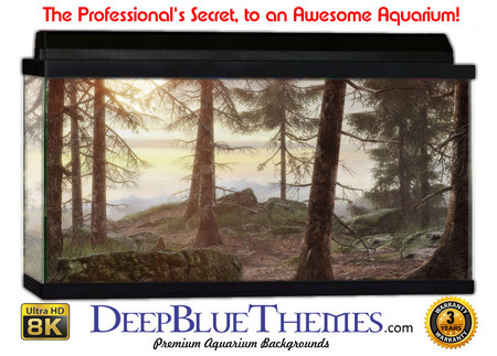 Buy Aquarium Background Gamer Carter Aquarium Background